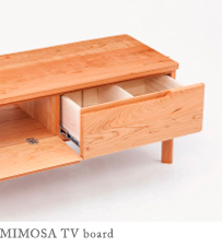 MIMOSA TV board